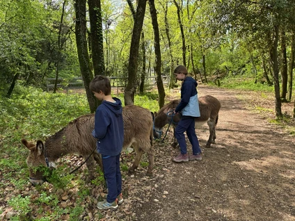 Spaziergang mit Eseln und Besuch eines didaktischen Bauernhofs in Garda Trentino 3 Spaziergang mit Eseln und Besuch eines didaktischen Bauernhofs in Garda Trentino 3