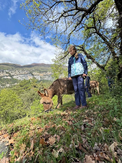Spaziergang mit Eseln und Besuch eines didaktischen Bauernhofs in Garda Trentino 4 Spaziergang mit Eseln und Besuch eines didaktischen Bauernhofs in Garda Trentino 4