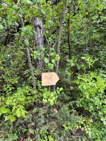 Spaziergang mit Eseln und Besuch eines didaktischen Bauernhofs in Garda Trentino 5 Spaziergang mit Eseln und Besuch eines didaktischen Bauernhofs in Garda Trentino 5