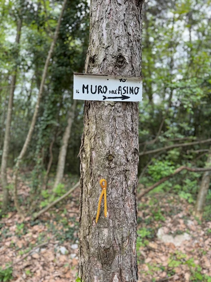 Spaziergang mit Eseln und Besuch eines didaktischen Bauernhofs in Garda Trentino 6 Spaziergang mit Eseln und Besuch eines didaktischen Bauernhofs in Garda Trentino 6