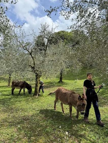 Spaziergang mit Eseln und Besuch eines didaktischen Bauernhofs in Garda Trentino 7 Spaziergang mit Eseln und Besuch eines didaktischen Bauernhofs in Garda Trentino 7