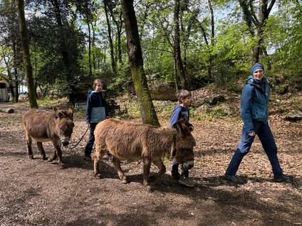 Spaziergang mit Eseln und Besuch eines didaktischen Bauernhofs in Garda Trentino 8 Spaziergang mit Eseln und Besuch eines didaktischen Bauernhofs in Garda Trentino 8