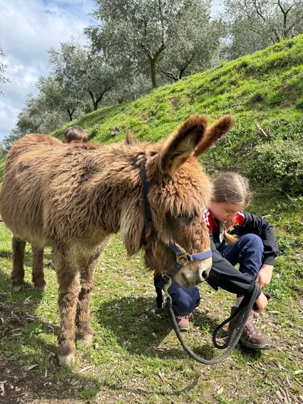 Spaziergang mit Eseln und Besuch eines didaktischen Bauernhofs in Garda Trentino 10 Spaziergang mit Eseln und Besuch eines didaktischen Bauernhofs in Garda Trentino 10