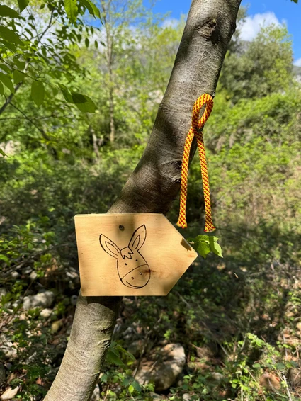 Spaziergang mit Eseln und Besuch eines didaktischen Bauernhofs in Garda Trentino 12 Spaziergang mit Eseln und Besuch eines didaktischen Bauernhofs in Garda Trentino 12