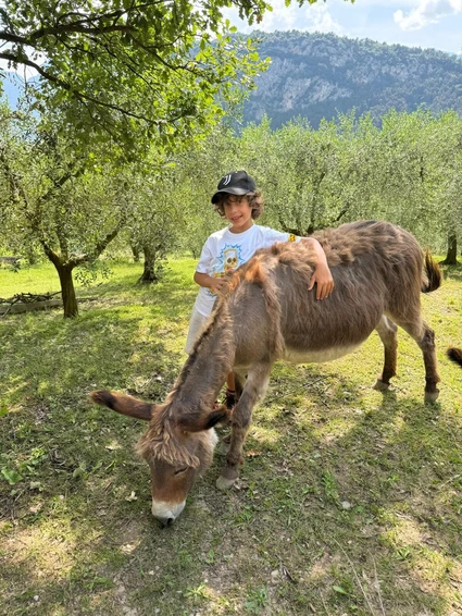 Spaziergang mit Eseln und Besuch eines didaktischen Bauernhofs in Garda Trentino 14 Spaziergang mit Eseln und Besuch eines didaktischen Bauernhofs in Garda Trentino 14