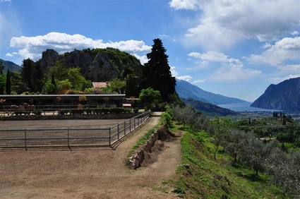 Spaziergang mit Eseln und Besuch eines didaktischen Bauernhofs in Garda Trentino 8