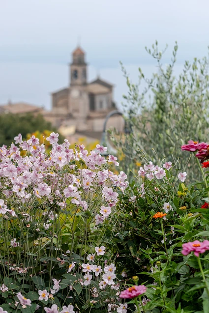 Cooking Class privata con vista lago in dimora esclusiva a Torri del Benaco 14