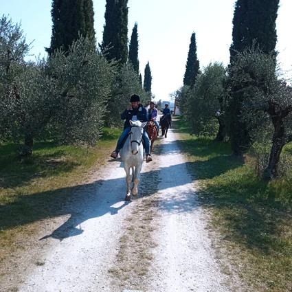 Emozionante passeggiata a cavallo al Lago di Garda: scopri la Valtenesi 1