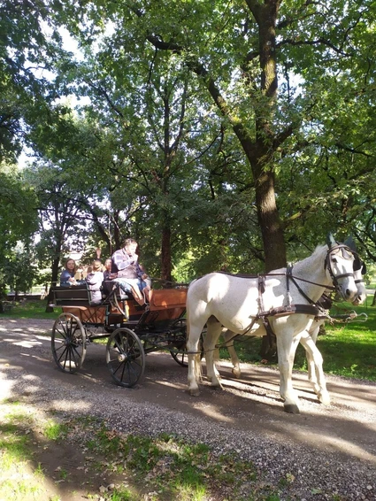 Carriage ride with lunch at Lake Garda 2