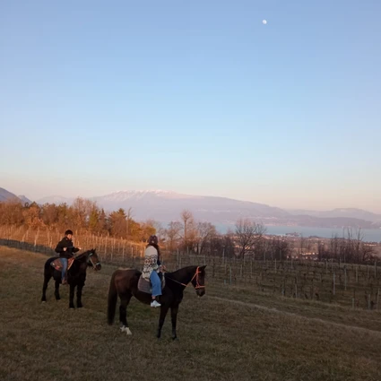 Emozionante passeggiata a cavallo al Lago di Garda: scopri la Valtenesi 2