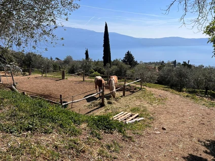 A magical horse ride through the hills of Lake Garda 2