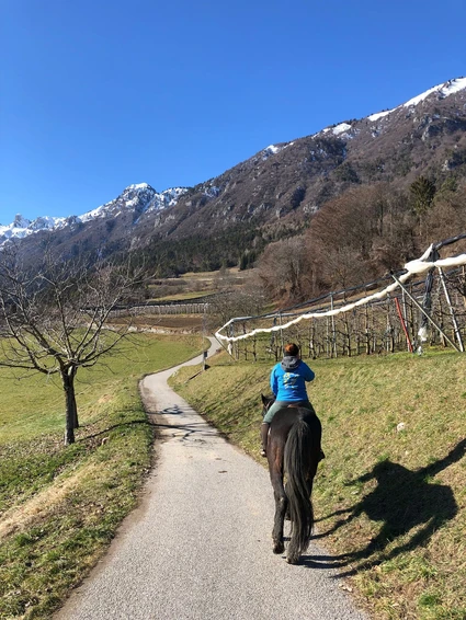 Passeggiata a cavallo di 3 ore tra natura e borghi storici nelle Dolomiti trentine 4