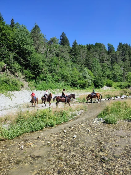 Horse trekking Dolomiti & Alto Garda: esperienza unica 1