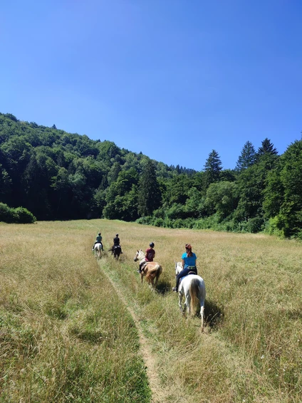 3-hour horseback ride through nature and historic villages in the Trentino Dolomites 8