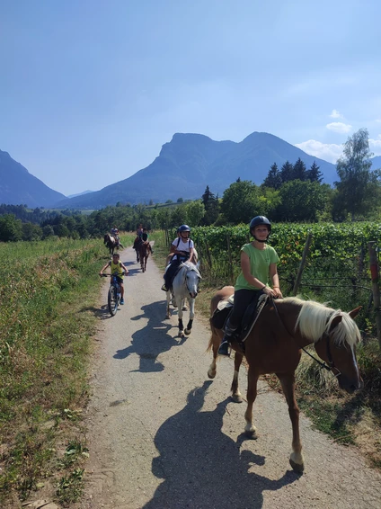 Horse trekking Dolomiti & Alto Garda: esperienza unica 6