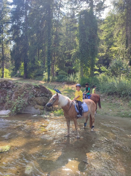 3-hour horseback ride through nature and historic villages in the Trentino Dolomites 9