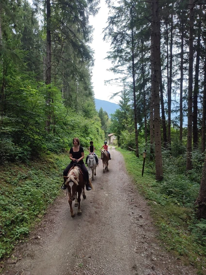 Horse trekking Dolomites & Upper Garda: a unique experience 8