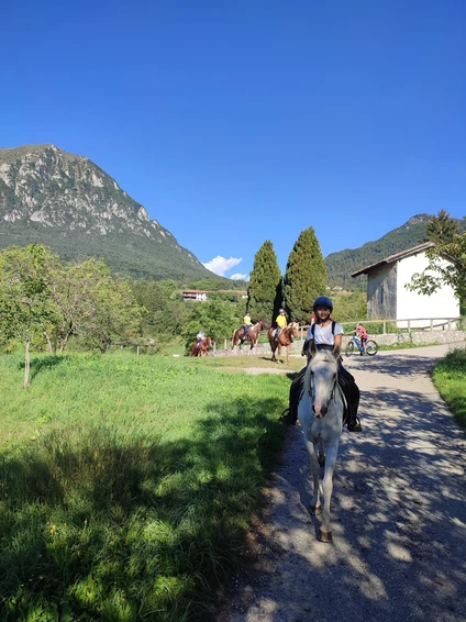 Passeggiata a cavallo di 3 ore tra natura e borghi storici nelle Dolomiti trentine 6