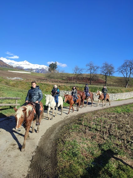 Horse trekking Dolomites & Upper Garda: a unique experience 9