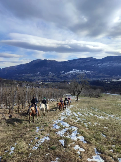 3-hour horseback ride through nature and historic villages in the Trentino Dolomites 11