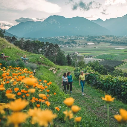 Wanderung zu einem Bauernhof in einem Agriturismo im Trentino 5