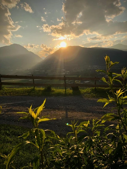 Wanderung zu einem Bauernhof in einem Agriturismo im Trentino 15