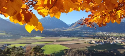 Walk with snack to a historic farm stay in Northern Lake Garda 12