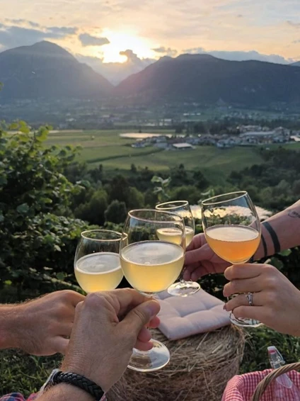 Picknick bei Sonnenuntergang im Garda Trentino: Ein privater Salon in den Bergen 10