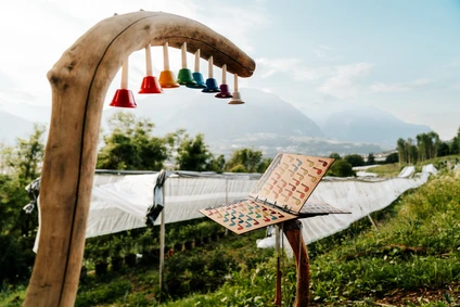 Stupenda escursione al maso con merenda in un agriturismo del Trentino 10