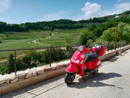 Tour of Valpolicella by Vespa and tasting of Verona's red gold 4