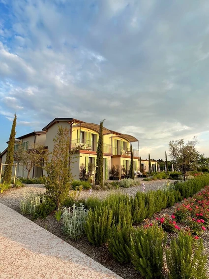 Picnic d'Autore in vigneto: l'Essenza del Lago di Garda a Lazise 18