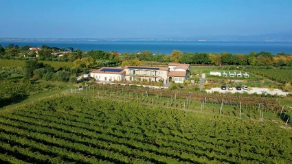 Picnic d'Autore in vigneto: l'Essenza del Lago di Garda a Lazise 15