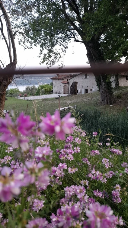 Il picnic naturale nel casale con vista sul Lago di Garda 4