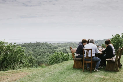 Excursion with local wine guide: on the road, between taste and territory