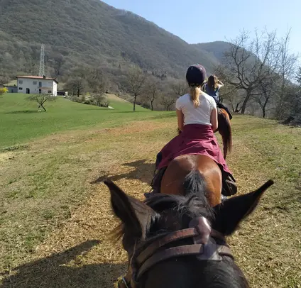 Horse riding at Lake Garda with food tasting 6