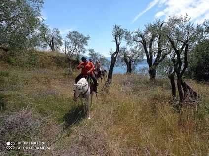 Horseback riding excursion for experts with tasting of local products 3
