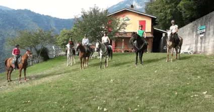 Passeggiata a cavallo e degustazione al Lago di Garda 5