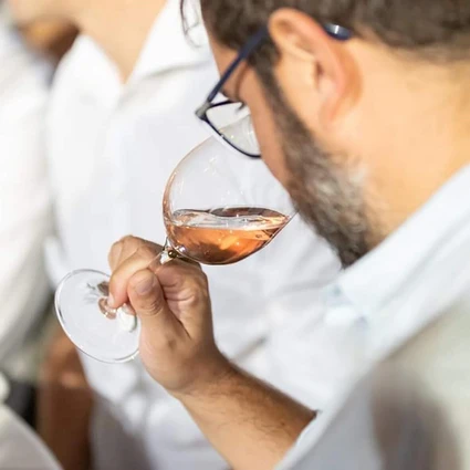 Visita della cantina e degustazione di vini nell'entroterra del Garda 7