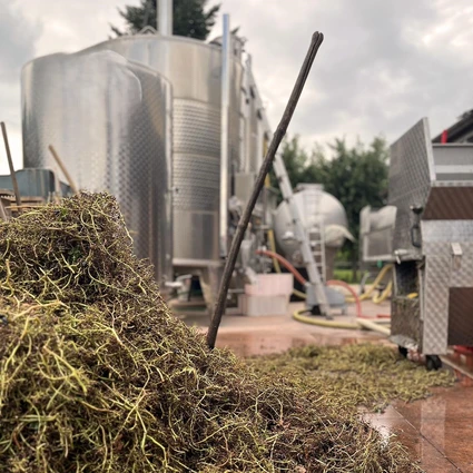 Visita della cantina e degustazione di vini nell'entroterra del Garda 8