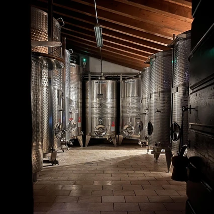 Visita della cantina e degustazione di vini nell'entroterra del Garda 3