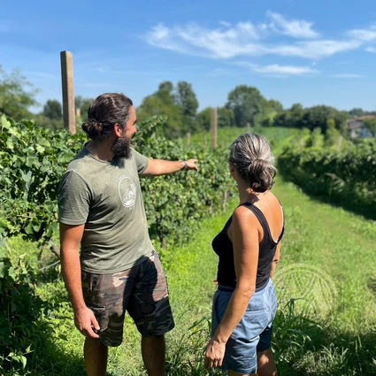 Visita della cantina e degustazione di vini nell'entroterra del Garda 15