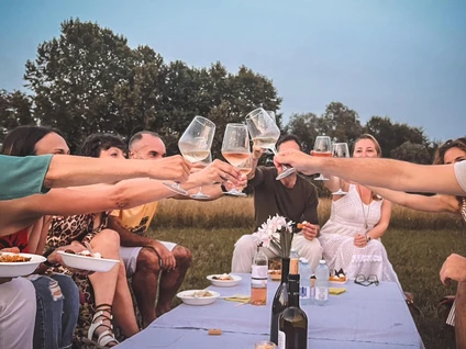 Visita della cantina e degustazione di vini nell'entroterra del Garda 33