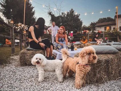 Visita della cantina e degustazione di vini nell'entroterra del Garda 32