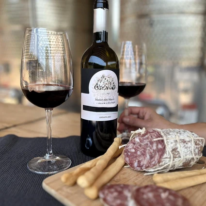 Visita della cantina e degustazione di vini nell'entroterra del Garda 19