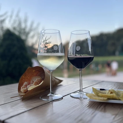 Visita della cantina e degustazione di vini nell'entroterra del Garda 20