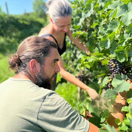 Visita della cantina e degustazione di vini nell'entroterra del Garda 22