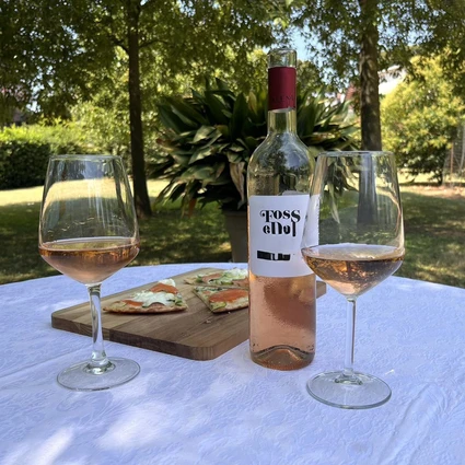 Visita della cantina e degustazione di vini nell'entroterra del Garda 30