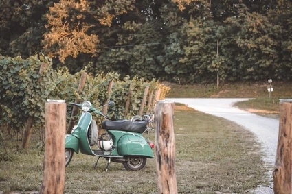 Visita della cantina e degustazione di vini nell'entroterra del Garda 0