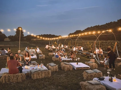 Visita della cantina e degustazione di vini nell'entroterra del Garda 26