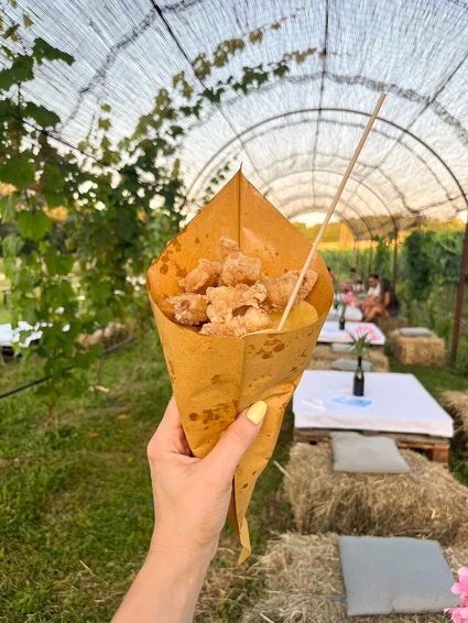 Visita della cantina e degustazione di vini nell'entroterra del Garda 27